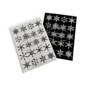 Prada 2011 Men’s & Women’s Collection Catalog Set – Rare Winter Books (2 books)